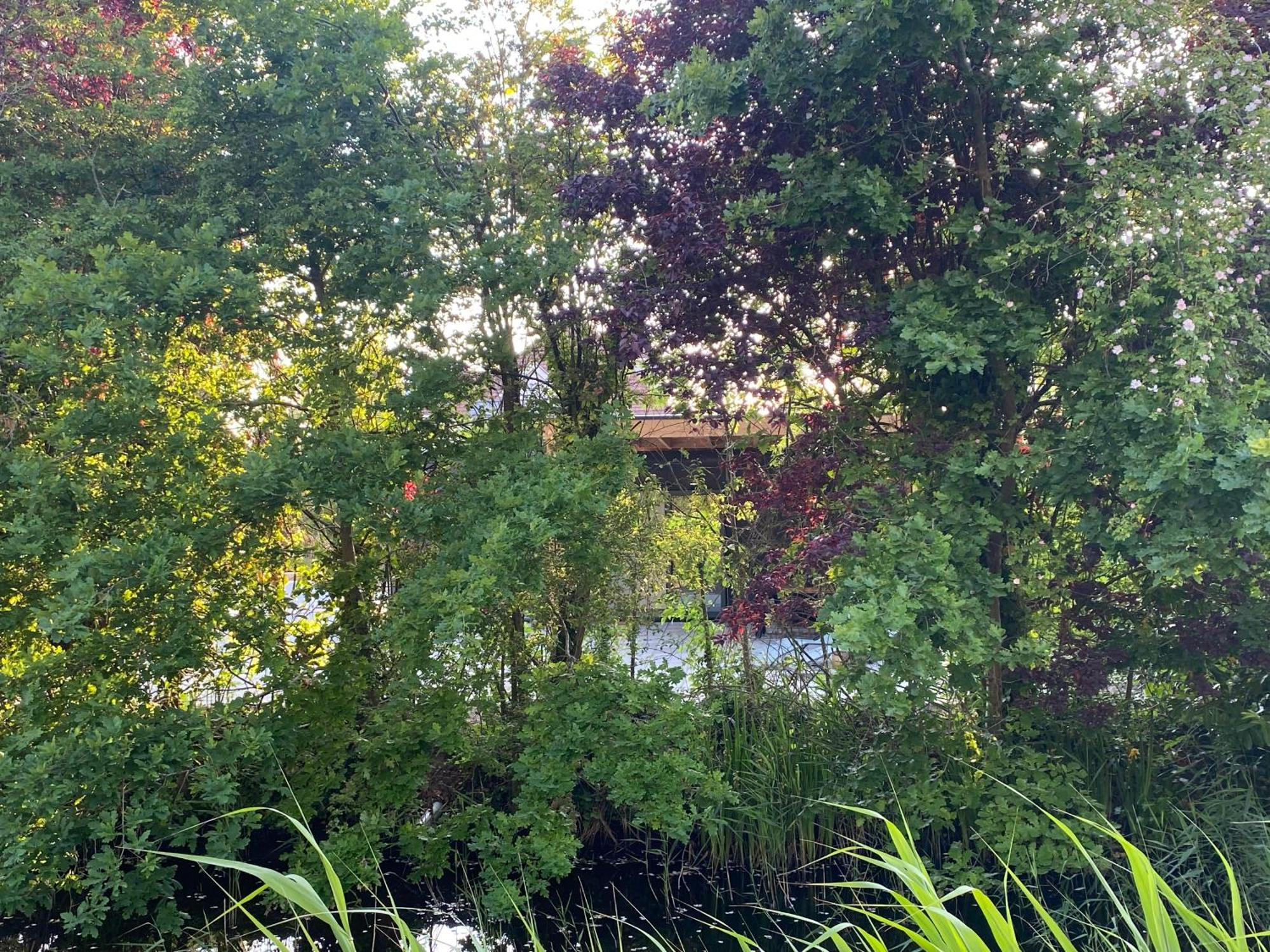 Casa Qirih Ξενοδοχείο Zierikzee Εξωτερικό φωτογραφία